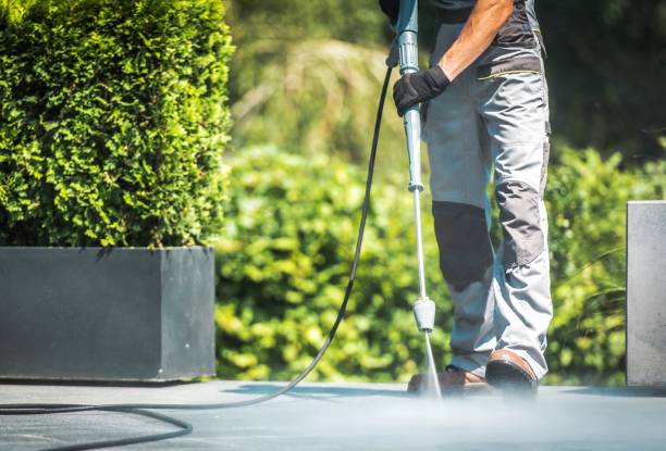 Best Pre-Holiday Cleaning  in Crowley Lake, CA
