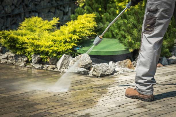 Best Patio and Deck Pressure Washing  in Crowley Lake, CA