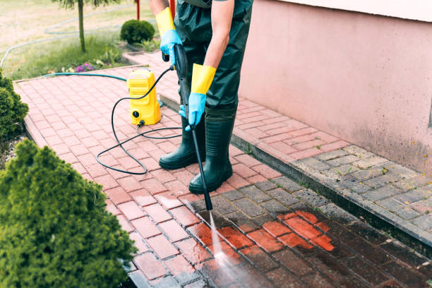 Best Animal Enclosure Cleaning  in Crowley Lake, CA