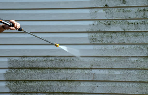 Reliable Crowley Lake, CA Pressure Washing Services Solutions