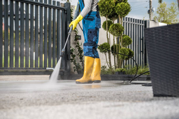 Best Solar Panel Cleaning  in Crowley Lake, CA